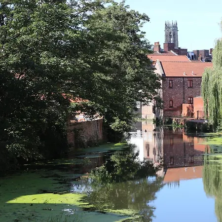 Chocolets - The Foss York