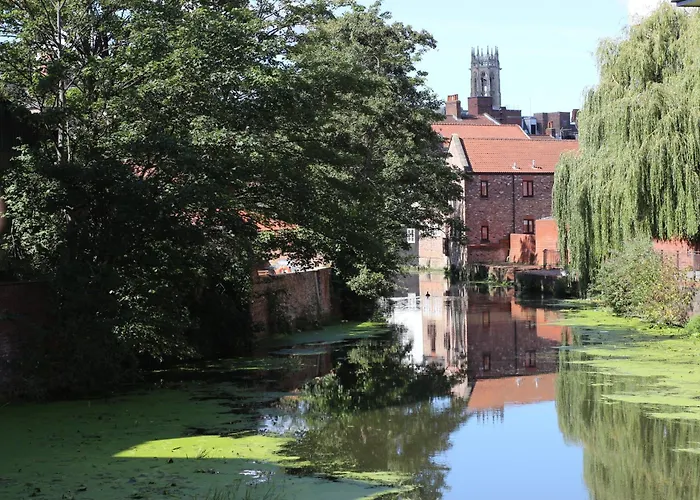 Chocolets - The Foss York