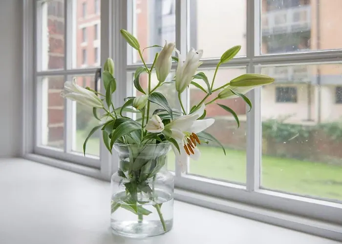 Apartment Chocolets - The Foss York